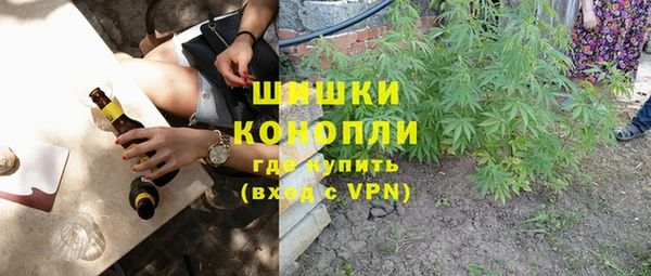 ГАЛЛЮЦИНОГЕННЫЕ ГРИБЫ Белоозёрский